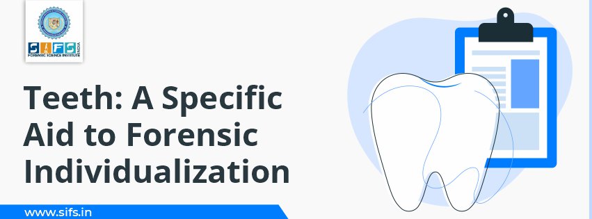 Teeth: A Specific Aid to Forensic Individualization