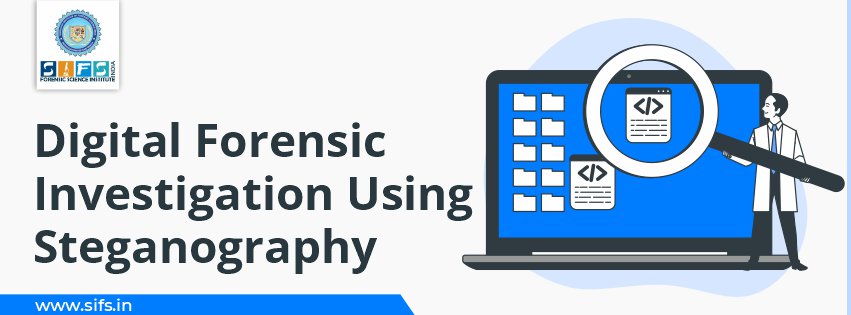 Digital Forensic Investigation Using Steganography