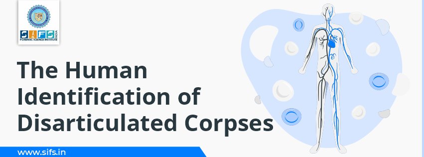 The Human Identification of Disarticulated Corpses