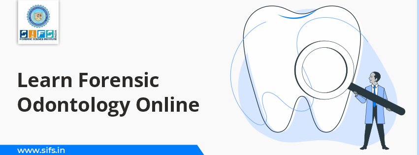 Learn Forensic Odontology Online