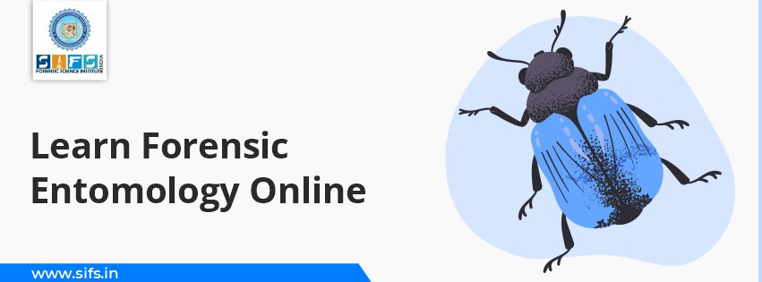 Learn Forensic Entomology Online