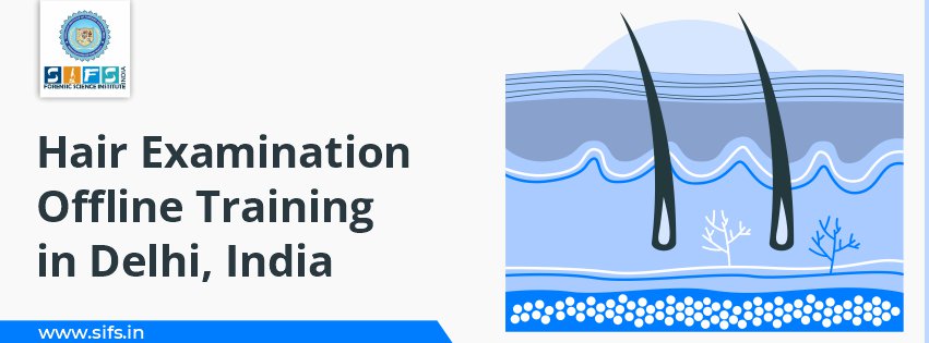 Hair Examination Offline Training in Delhi India