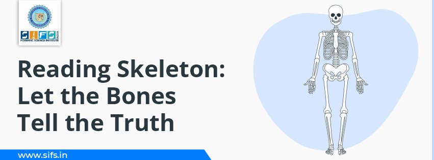 Reading Skeleton: Let the Bones Tell the Truth